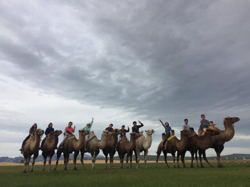 6 Day Great Gobi Tour Mongolia - Itinerary Highlights