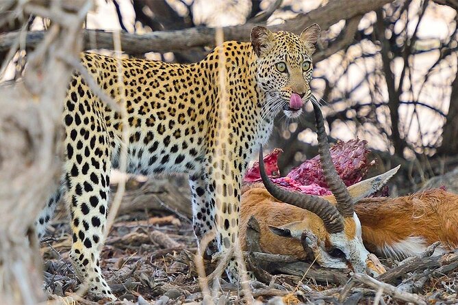6 Day Group Camping Safari Tarangire Serengeti Ngorongoro Manyara - Camping and Meals