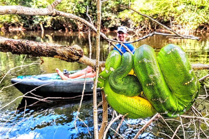 6-Day Guided Kayak Expedition in the Amazon - Inclusions