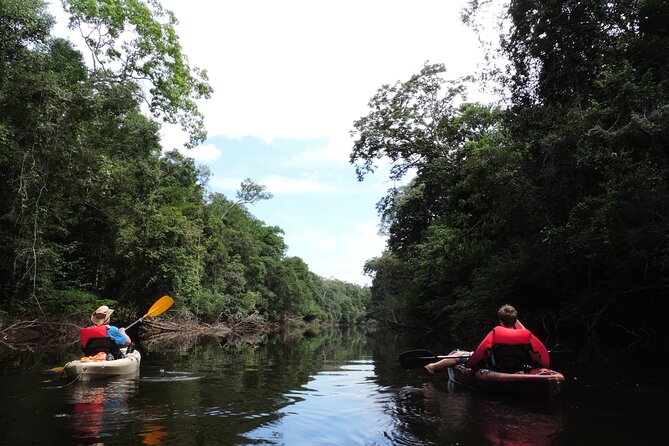 6-Day Guided Kayak Expedition in the Amazon - Preparing for the Adventure