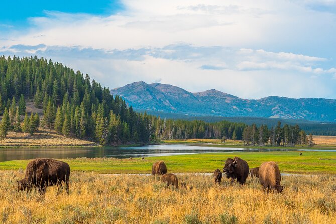 6-Day Guided Motorcycle Tour - Yellowstone & Teton National Parks - Meeting and Pickup Details