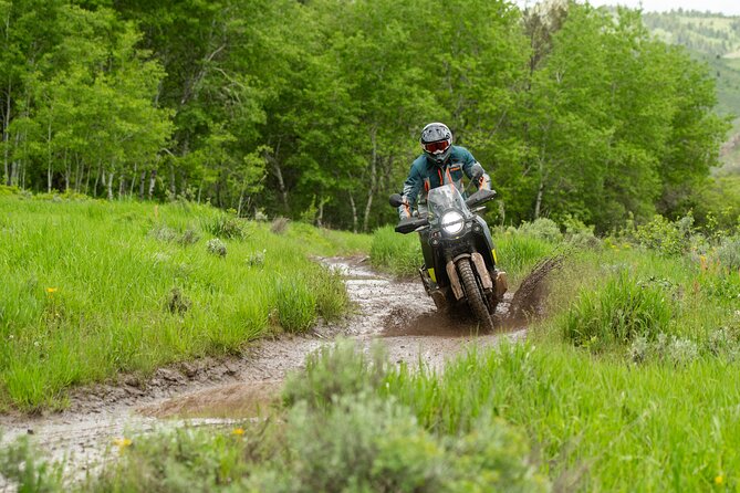 6-Day Guided Motorcycle Tour - Yellowstone & Teton National Parks - Health and Safety Requirements
