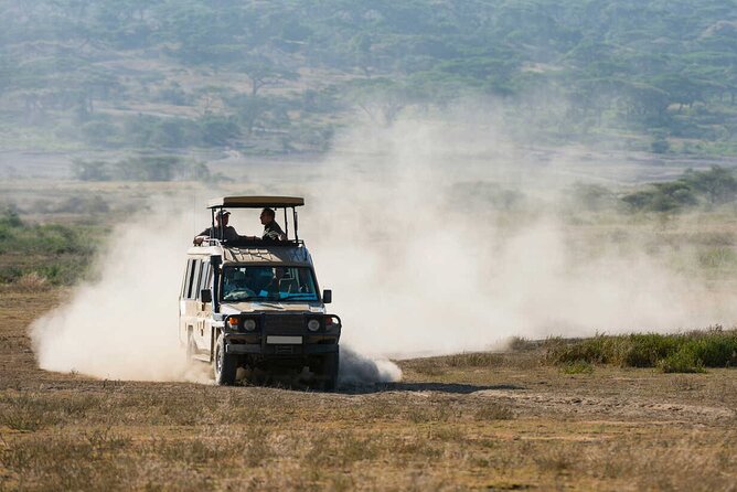 6-Day Honeymoon Safari Tour Package in Tanzania - Exclusions