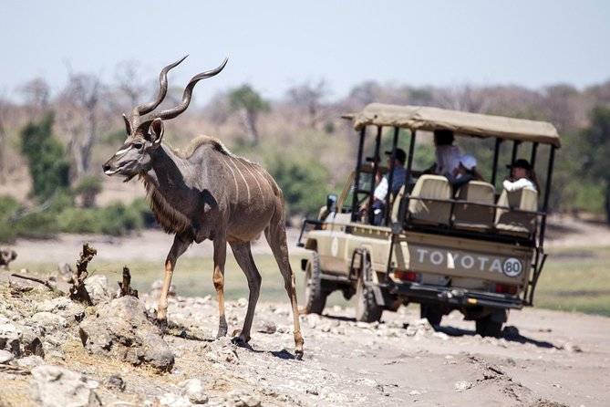 6-day Hwange, Chobe & Victoria Falls Combo - Itinerary Highlights