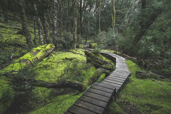 6 Day Island Icons Tassie Day Tour Bundle - Why This Tour Is a Great Choice