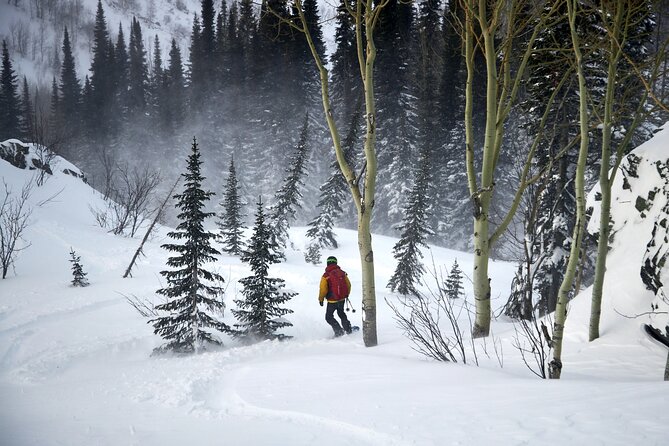 6-Day Kazakhstan Ridder Camp Ski Private Guided Tour and Adventure - Accommodation and Meals