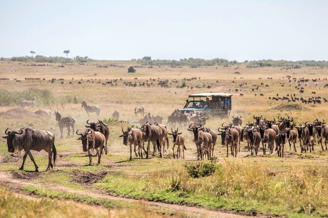 6-Day Kenya Safari to Masai Mara, Lake Nakuru and Amboseli - Accommodations and Meals