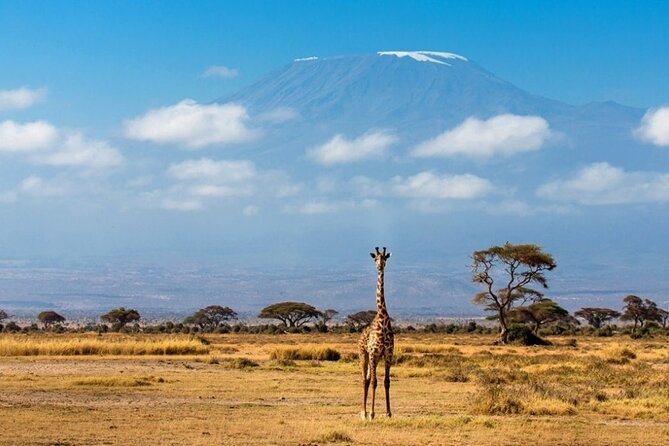6-Day Kenya Safari to Masai Mara, Lake Nakuru and Amboseli - Traveler Requirements