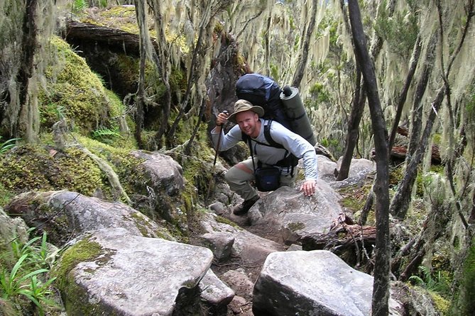 6-Day Kilimanjaro Umbwe Route–Steep,Adventurous, Challenging Path - Inclusions and Services