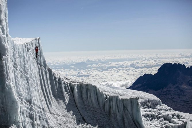 6-Day Kilimanjaro Umbwe Route–Steep,Adventurous, Challenging Path - Booking and Cancellation Policies