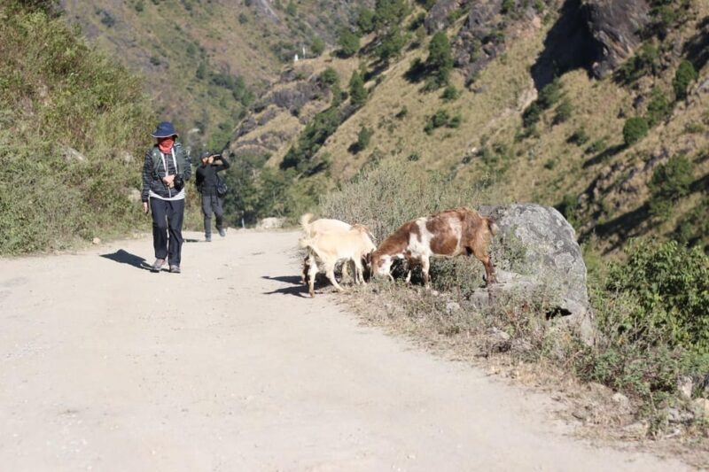 6 Day Langtang Adventure : Fixed Group Departure Budget Trek - Inclusions and Exclusions
