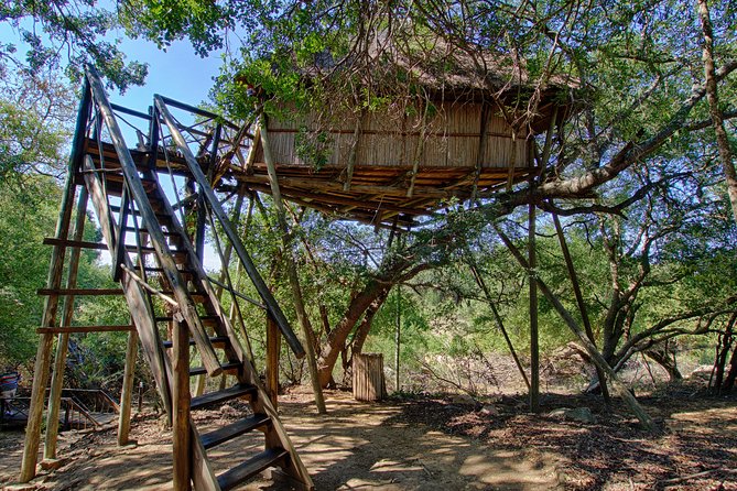 6 Day Lodge and Treehouse Kruger National Park Safari - Rehabilitation Centre Visit
