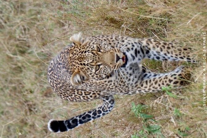 6-Day Maasai Mara Reserve, Lake Naivasha, Amboseli National Park - Exploring Lake Naivasha
