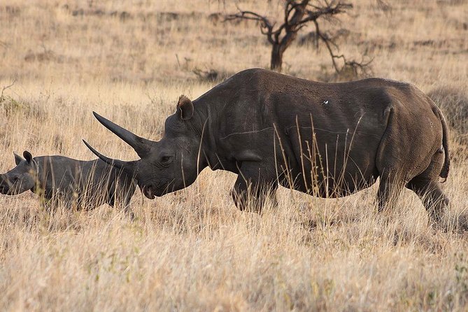6 Day: Magnificent Wildlife Adventure - Booking and Cancellation