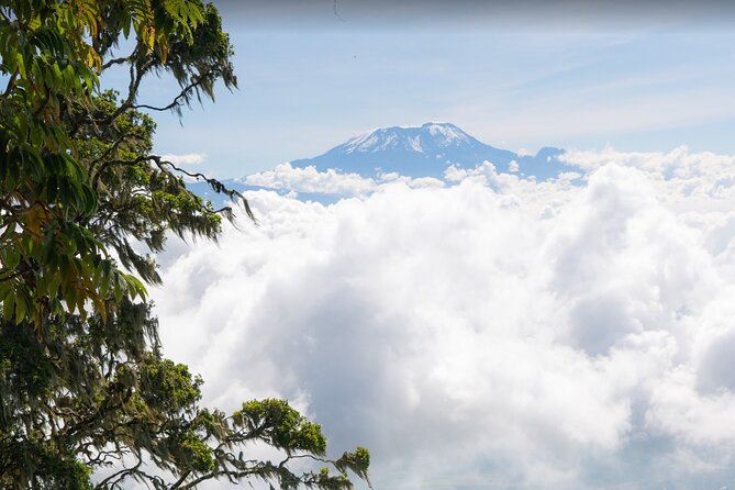 6-Day Mount Meru Climb Through Momella Route Guided Tour - Itinerary