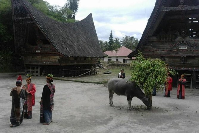 6 Day North Sumatra Highlights - Jungles Orangutans Lakes and Volcanoes - Key Points