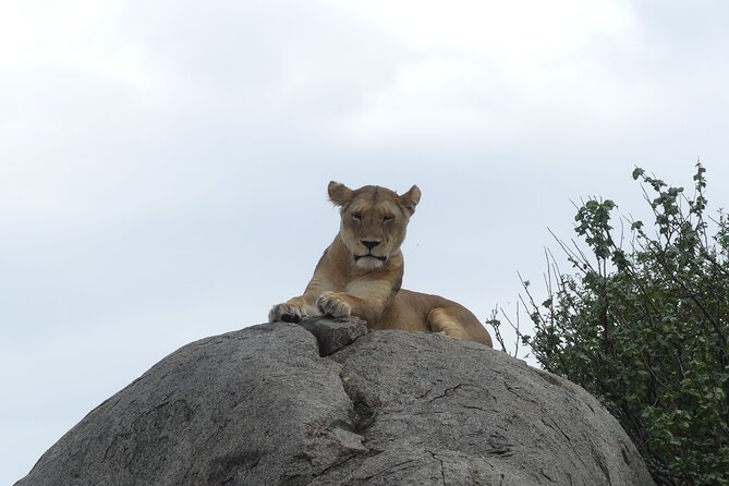 6-Day Northern Safari - Pickup and Dropoff
