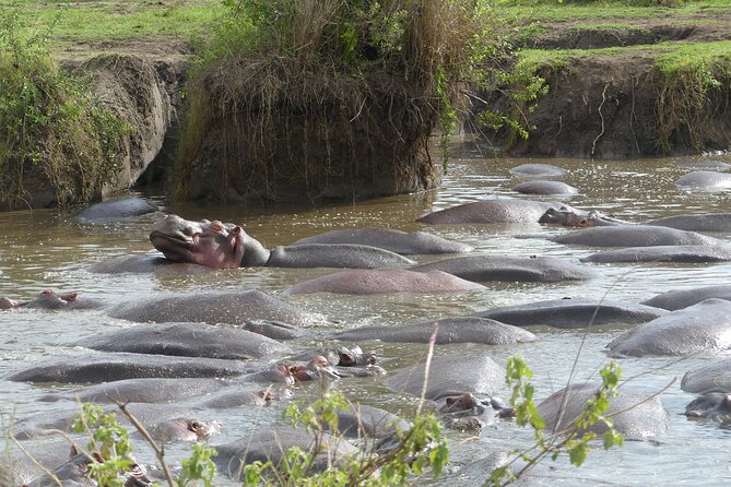6-Day Northern Safari - Tour Provider