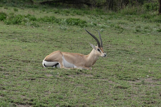 6-Day Northern Safari - Price and Guarantee