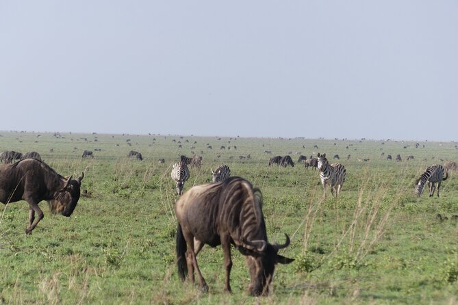 6-Day Northern Safari - Customer Testimonials