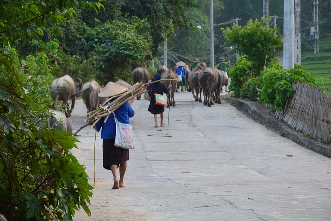 6-Day off the Beaten Track Tour of North Vietnam From Hanoi - Crossing Ma Pi Leng Pass