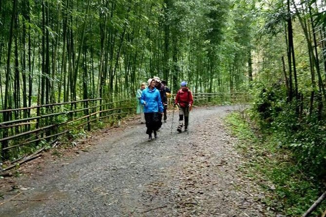 6-Day Off The Beaten Track Trek To Ba Be Lake And Ban Gioc Waterfall - Overview of the Trek