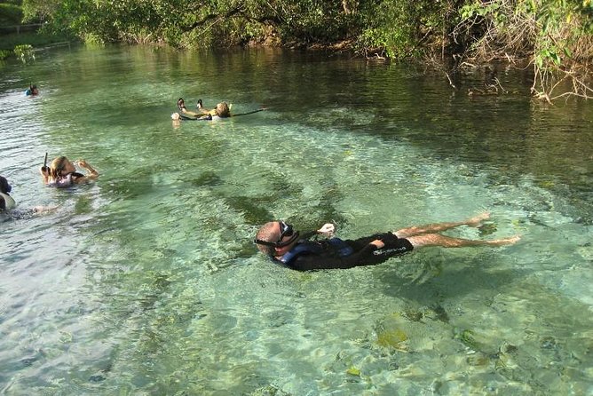 6-Day Pantanal & Bonito Experience - Key Points