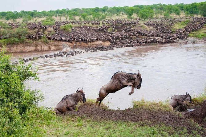 6 Day Private Camping Safari to Tarangire,Serengeti,Ngorongoro& Manyara Tanzania - Itinerary: Ngorongoro Crater