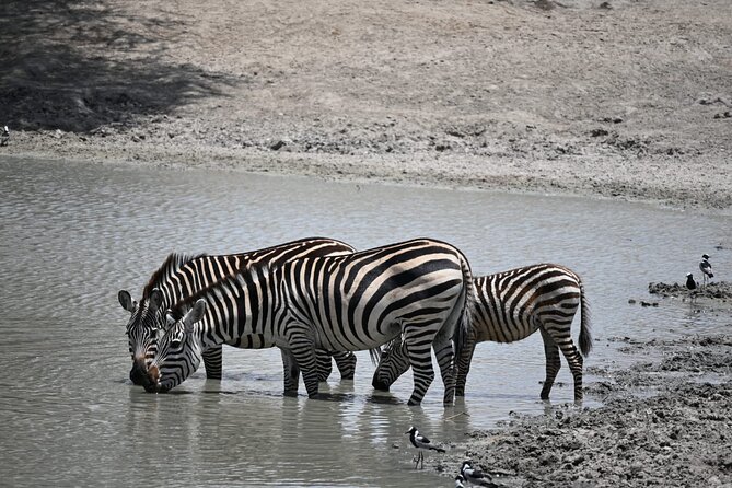 6-Day Private Camping Safari Tour From Kilimanjaro Airport - Pricing Information