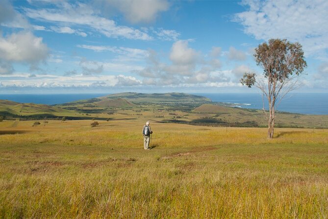 6-Day Private Easter Island Archaeology and Hiking Adventure - Overview of the Adventure