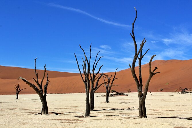6 Day Private Guided Accommodated Namibian Loop - Outdoor Adventures