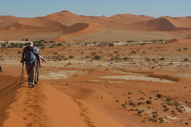 6 Day Private Guided Accommodated Namibian Loop - Wildlife and Nature