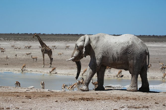 6 Day Private Guided Accommodated Namibian Loop - Preparing for the Tour