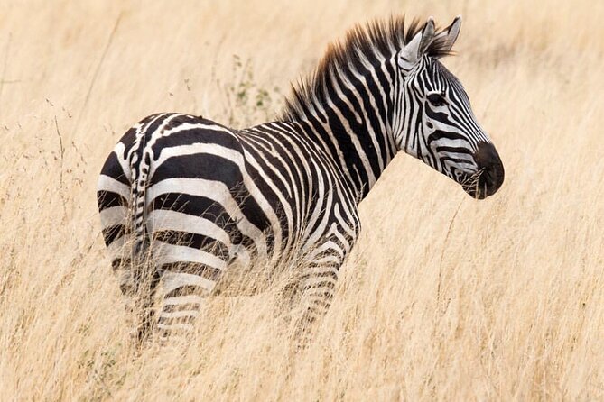 6-Day Private Midrange Tour in Arusha With Airport Pickup - Inclusions and Exclusions