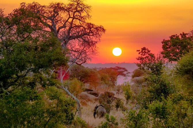 6-Day Private Midrange Tour in Arusha With Airport Pickup - Reviews and Ratings