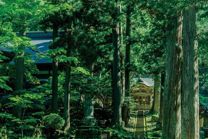 6 Day Private MINIBUS Tour to Kyoto via Fukui From Fukuoka - Inclusions