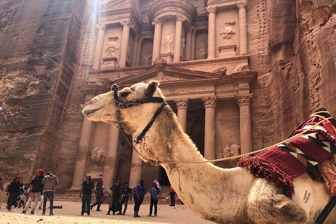 6-Day Private Tour, Explore Jordan - Accommodation and Transfers