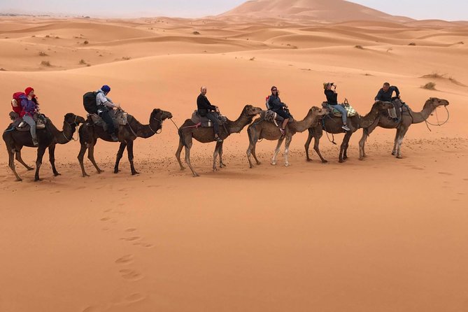 6-Day Private Tour From Casablanca to Marrakech - Explore Fez Medina