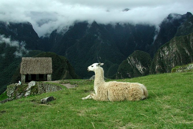 6-Day Private Tour From Lima: Cusco, Sacred Valley and Machu Picchu - Itinerary Highlights