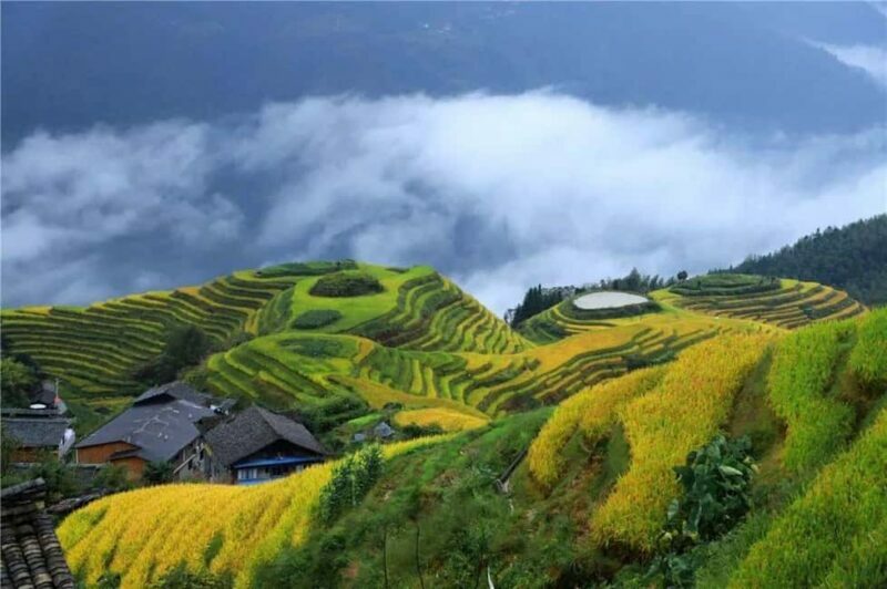 6-Day Private Tour: Guilin Terraces, Fenghuang & Zhangjiajie - Key Points