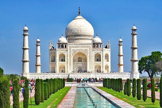 6-Day Private Tour of Indian Wildlife & Palaces From Colombo Port - Ranthambore Tiger Reserve Safaris