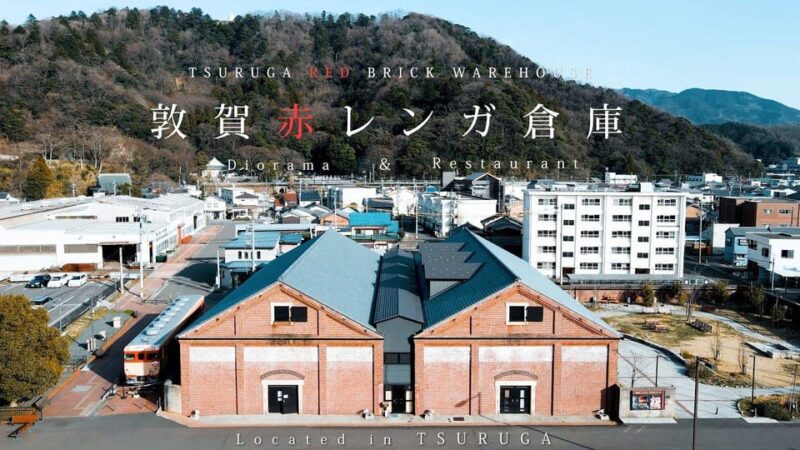 6-Day Private Tour to Kyoto via Fukui From Fukuoka With Bus - Included Services