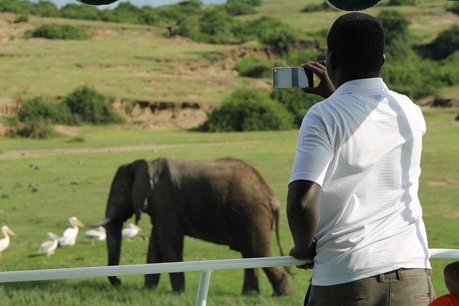 6-Day Queen Elizabeth and Mburo Luxury Safari - Transportation and Accessibility