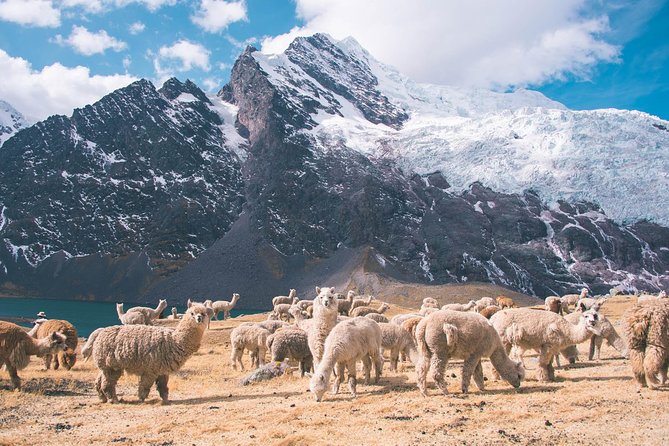 6 Day Rainbow Mountain X Ausangate Trek - Flashpackerconnect - Booking Confirmation