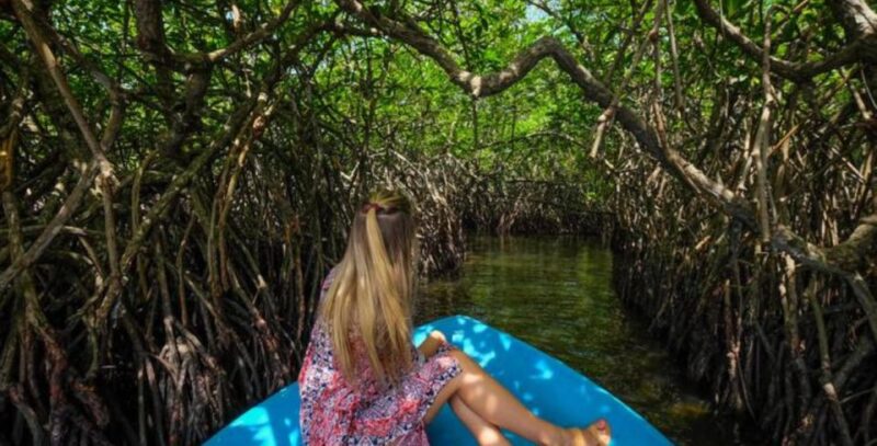 6-Day Romantic Coastal Getaway - Accommodation