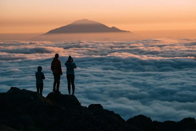 6-Day Rongai Route Trek in Mount Kilimanjaro - Accessibility and Group Size