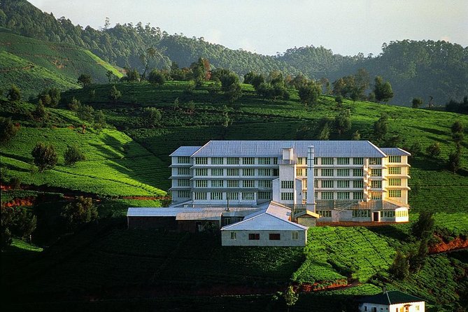 6 Day Round Tour in Sri Lanka With Chauffeur - Wildlife and Beaches