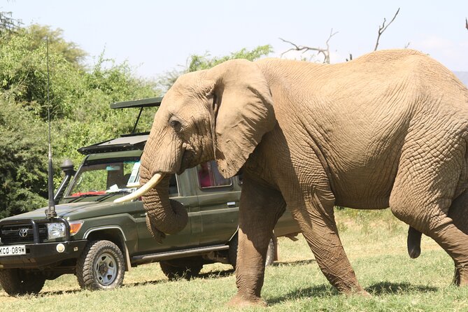 6-Day Samburu, Lake Nakuru, and Masai Mara Safari - Accommodation Details