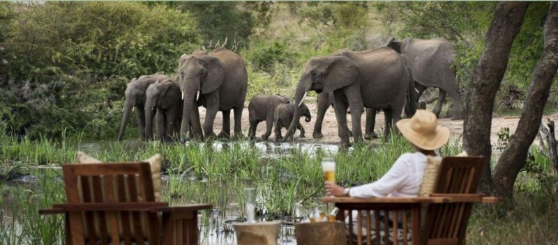 6 Day Small Group Garden Route Tour From Cape Town - Key Points
