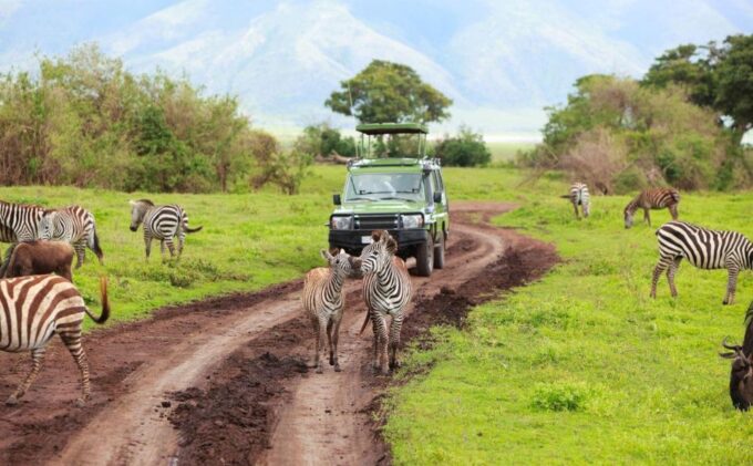 6 Day Small Group Garden Route Tour From Cape Town - Booking and Contact Information